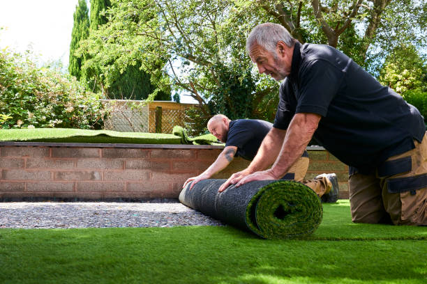 Turf Laying Sydney A Complete Guide to Creating a Healthy and Beautiful Lawn
